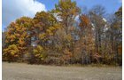 Property photo 19 - 75.3 Acres Offered in 2 Tracts